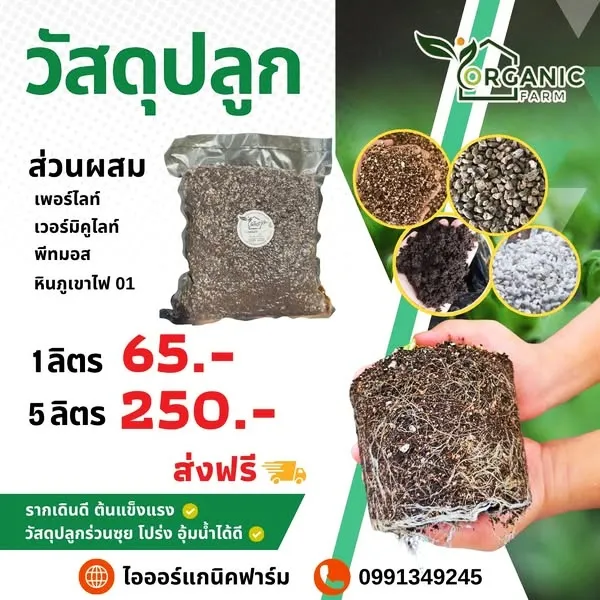 planting_1 planting_1