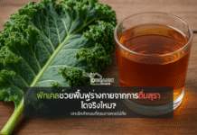 ผักเคลช่วยฟื้นฟูร่างกายจากการดื่มสุราได้จริงไหม? เจาะลึกคำตอบที่คุณอาจคาดไม่ถึง แอลกอฮอล์ซัดร่างพัง ผักเคลช่วยฟื้นได้จริงไหม? มาหาคำตอบกัน