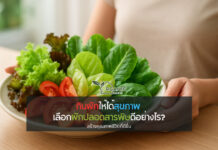 กินผักให้ได้สุขภาพ เลือกผักปลอดสารพิษดีอย่างไร? พร้อมรู้จักผักไฮโดรโปนิกส์ตัวช่วยยุคใหม่ เมื่อการกินไม่ใช่แค่ความอิ่ม แต่คือการเลือกเพื่อชีวิตที่ดีกว่า