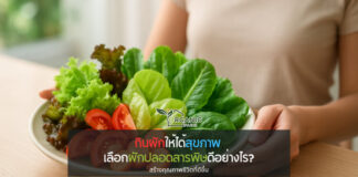 กินผักให้ได้สุขภาพ เลือกผักปลอดสารพิษดีอย่างไร? พร้อมรู้จักผักไฮโดรโปนิกส์ตัวช่วยยุคใหม่ เมื่อการกินไม่ใช่แค่ความอิ่ม แต่คือการเลือกเพื่อชีวิตที่ดีกว่า