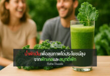 น้ำผักปั่น เครื่องดื่มสีเขียวที่เปลี่ยนสุขภาพได้ในทุกแก้ว ดื่มง่าย ได้ผลจริง เมื่อคำว่า “สุขภาพดี” เริ่มต้นที่แก้วหนึ่งแก้ว
