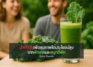 น้ำผักปั่น เครื่องดื่มสีเขียวที่เปลี่ยนสุขภาพได้ในทุกแก้ว ดื่มง่าย ได้ผลจริง เมื่อคำว่า “สุขภาพดี” เริ่มต้นที่แก้วหนึ่งแก้ว