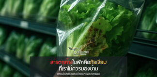 สารตกค้างในผักคือภัยเงียบที่เราไม่ควรมองข้าม พร้อมทางเลือกปลอดภัยจากผักปลอดสารพิษ เมื่อความเขียวสดของผักไม่ใช่สิ่งที่เราควรเชื่อโดยไม่ตั้งคำถาม