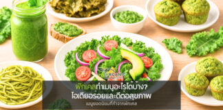 ผักเคลทำเมนูอะไรได้บ้าง? รวมไอเดียความอร่อยจากเคลที่มีดีกว่าที่คิด ทำไม “ผักเคล” ถึงกลายเป็นขวัญใจสายสุขภาพ