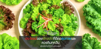 ผักสลัดไม่ได้มีดีแค่กรอบ! ประโยชน์ลึก ๆ ที่คุณอาจยังไม่เคยรู้ ผักสลัด: ผักธรรมดาที่ไม่ธรรมดา