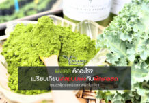 ผงเคล คืออะไร? ต่างจากผักเคลสดอย่างไรบ้าง รู้จักผงเคลให้ลึกขึ้นก่อนตัดสินใจเลือกเพื่อสุขภาพ