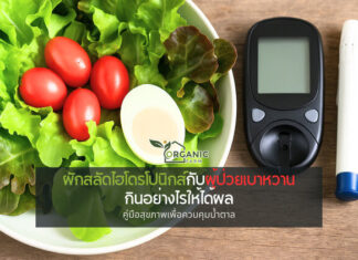 ผักสลัดไฮโดรโปนิกส์กับผู้ป่วยเบาหวาน กินอย่างไรให้ได้ผล เบาหวานกับผัก: เมื่ออาหารคือยาที่ดีที่สุดของร่างกาย