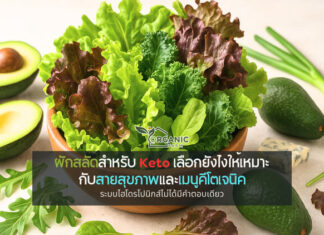 เลือกผักผิด คีโตก็พัง! รู้จักผักสลัดที่ใช่สำหรับสาย Healthy & Keto ผักสลัดกับคีโตเจนิค: ความเข้าใจพื้นฐานที่ไม่ควรมองข้าม