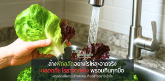 ผักดูสะอาด แต่กินแล้วป่วย? วิธีล้างผักสลัดที่คนรักสุขภาพควรรู้ ความสดไม่เท่ากับความปลอดภัย