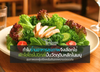 เจาะลึกเหตุผลที่ร้านอาหารสุขภาพยอมจ่ายแพงขึ้น เพื่อใช้ผักไฮโดรโปนิกส์ ภาพจำใหม่ของอาหารสุขภาพไม่ได้หยุดแค่หน้าตา แต่เริ่มจากวัตถุดิบ