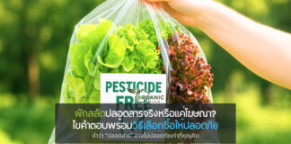 ผักสลัดปลอดสารจริงหรือแค่โฆษณา? ไขคำตอบพร้อมวิธีเลือกซื้อให้ปลอดภัย คำว่า “ปลอดสาร” อาจไม่ปลอดภัยเท่าที่คุณคิด