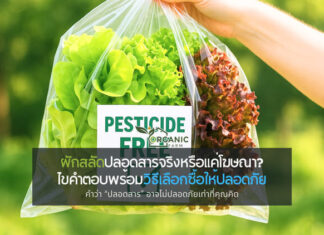 ผักสลัดปลอดสารจริงหรือแค่โฆษณา? ไขคำตอบพร้อมวิธีเลือกซื้อให้ปลอดภัย คำว่า “ปลอดสาร” อาจไม่ปลอดภัยเท่าที่คุณคิด