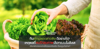 กินผักปลอดสารพิษ ดีอย่างไร? เหตุผลที่คนรักสุขภาพเลือกแบบไม่ลังเล ผักสดที่ดีต่อใจ ต้องดีต่อร่างกายด้วยจริงไหม?