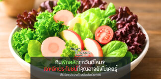 กินผักสลัดทุกวันดีไหม? เจาะลึกประโยชน์ที่คุณอาจยังไม่เคยรู้ จานเขียวธรรมดาที่อาจเปลี่ยนชีวิตคุณทั้งระบบ