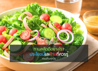 ทานสลัดดีอย่างไร? ผักสลัดมีอะไรบ้าง? เปิดความจริงที่คุณอาจไม่เคยรู้มาก่อน ใครบอกว่าการกินผักนั้นน่าเบื่อ? มาเปลี่ยนความคิดกันใหม่!