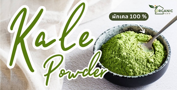 ผงผักเคล ออร์แกนิค