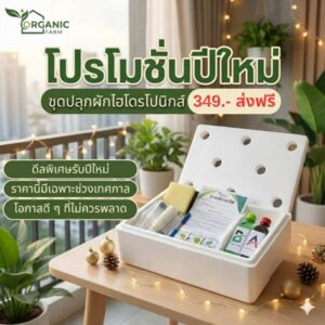 ชุดปลูกผักไฮโดรโปนิกส์